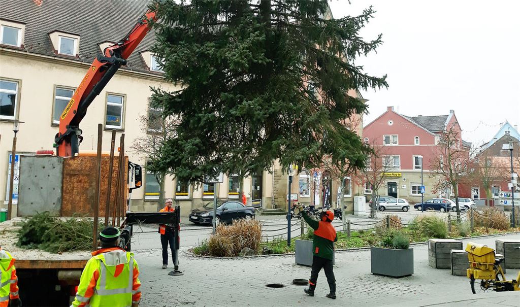 Stattliches Exemplar: Weihnachtsbaum am Bahnhof. Foto: Archiv