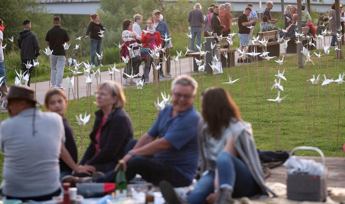 Staunende Passanten und Radler, picknickende Menschen und 1600 Kraniche: Das „Wunschlichter“-Projekt lockt viele Interessierte in die Enzgärten. Fotos: Fotomoment