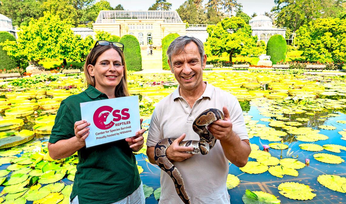 Stefanie Reska, die Leiterin der Stabsstelle Artenschutz, und der Wilhelma-Direktor Thomas Kölpin, mit einer Königspython im Maurischen Garten.