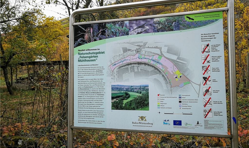 Steillagen kennzeichnen das Naturschutzgebiet Felsengärten in Mühlhausen.Foto: Bächle