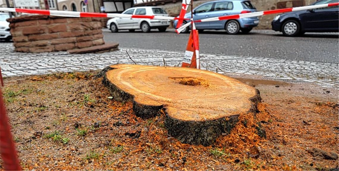 Streichliste soll neuen Streit vermeiden