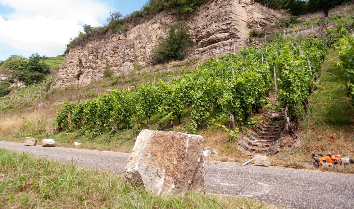 Steinschlaggefahr vorerst gebannt: Der Enztalradweg zwischen Mühlhausen und Roßwag ist wieder offen. Foto: Archiv
