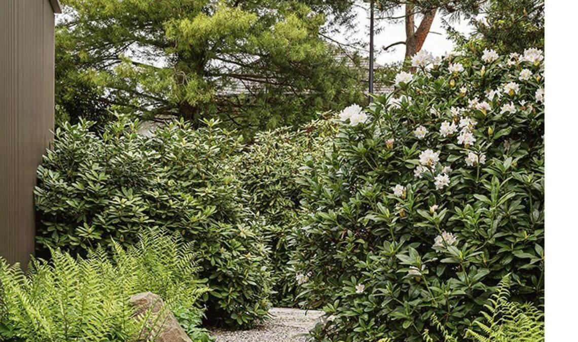 Stephan Maria Lang lässt  Gartenräume mit interessanten Blickachsen entstehen.