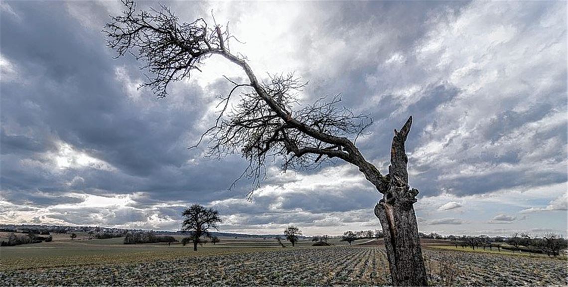Film- und Fotoclub Mühlacker stellt in Bassano aus