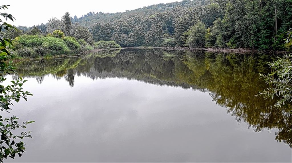 Still liegt der Bernhardsweiher da.