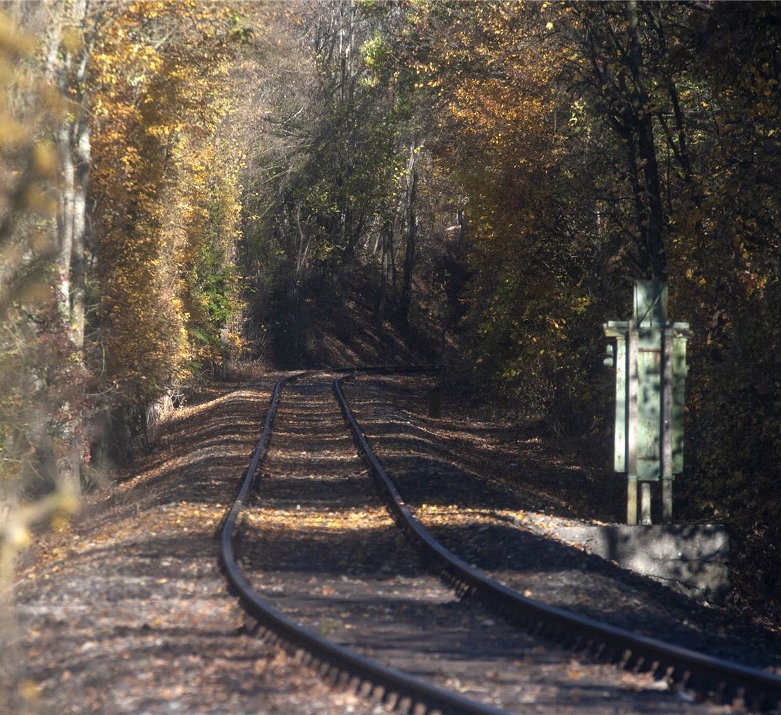 Still und starr ruht die Stichstrecke bei Maulbronn der Dinge. Foto: Archiv
