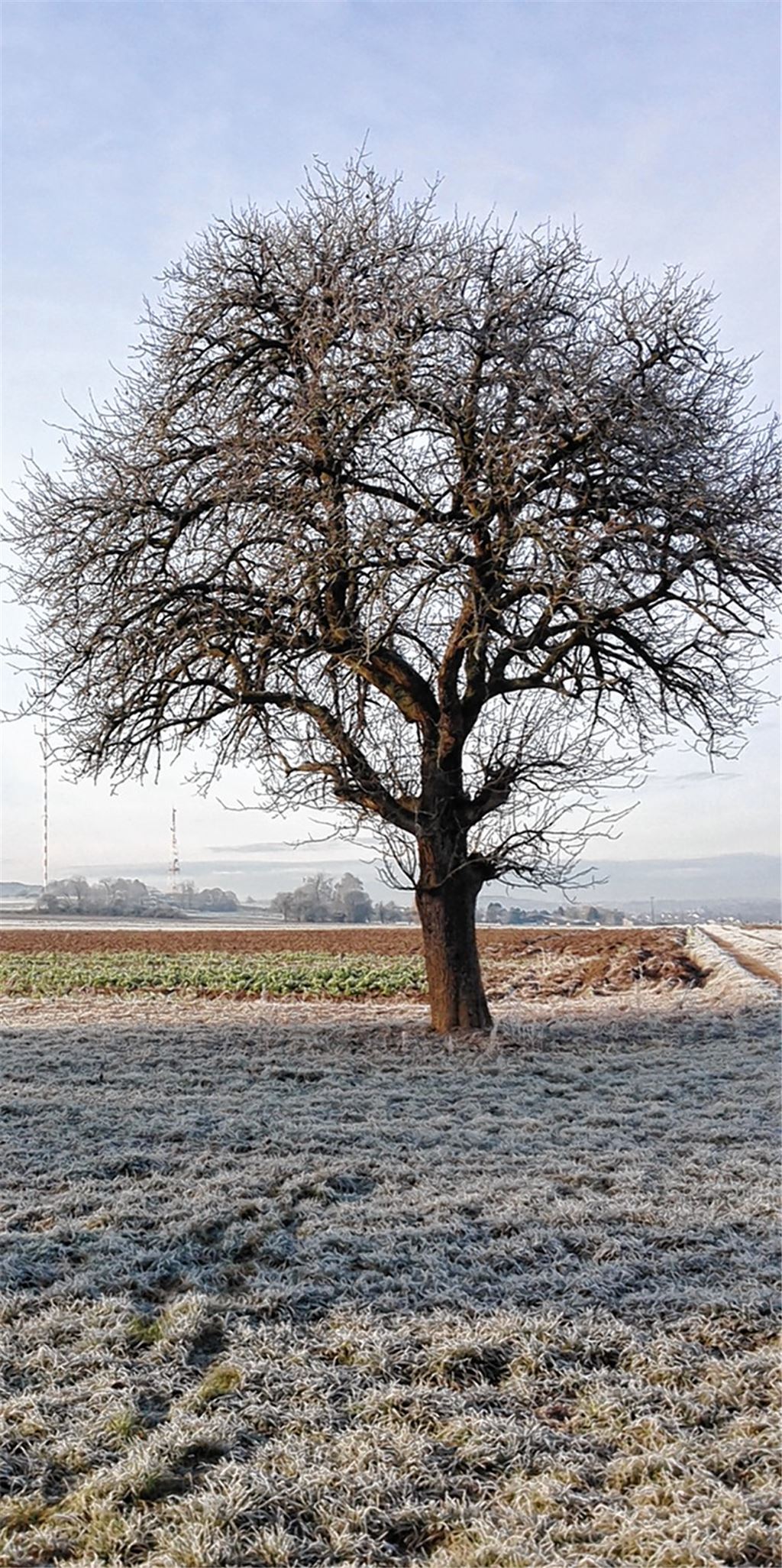 Herbstfarben