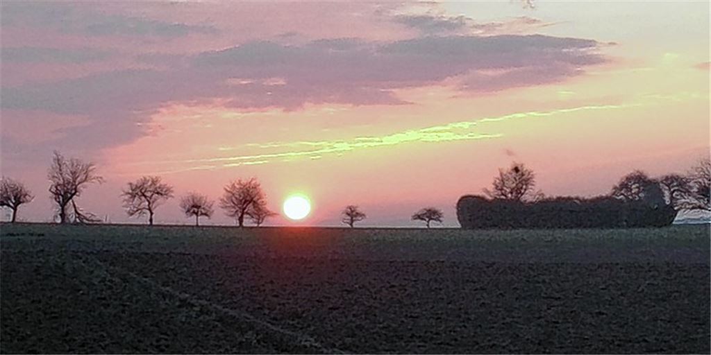 Frühlingsgefühle