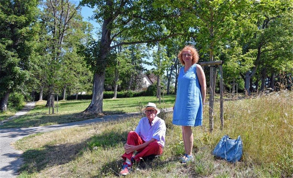 Bäume für die Zukunft