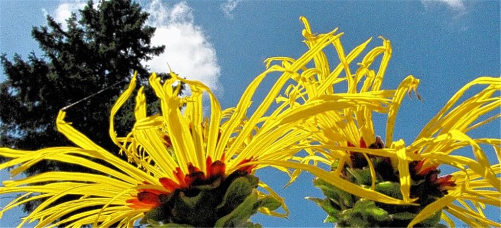 Strahlender Sommertag.