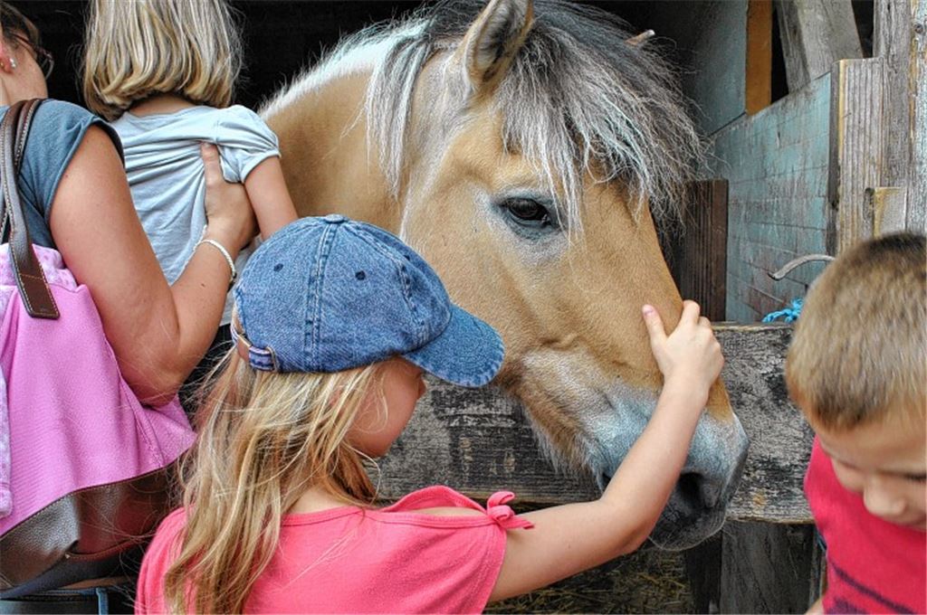Streicheleinheiten beim Sommerfest: Tiere dürfen bis Ende 2015 in Illingen bleiben. Foto: Stahlfeld