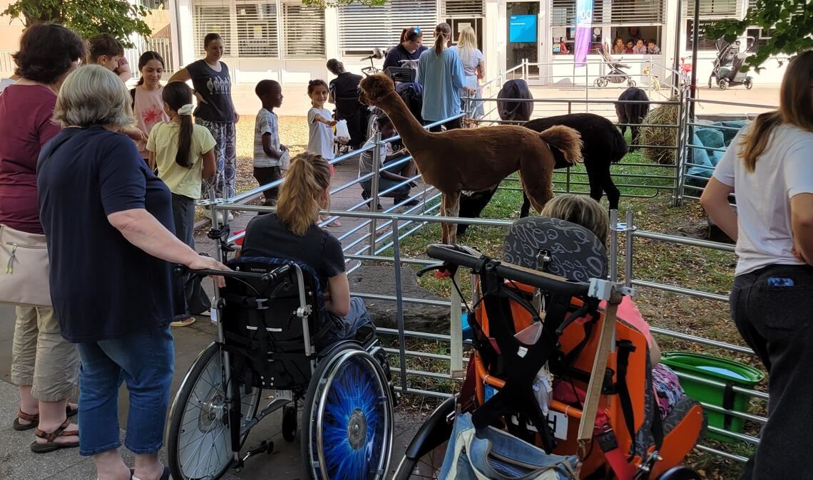 Streichelzoo bringt Menschen im Diakoniegarten zusammen. Foto: privat