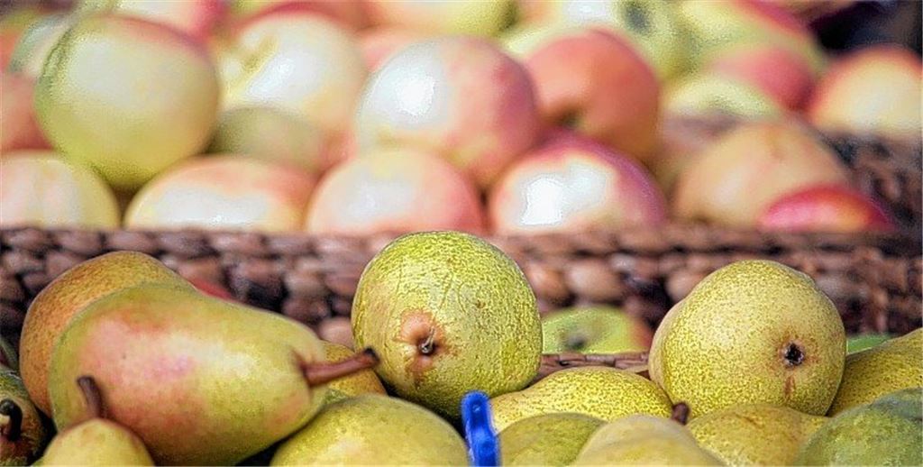 Enzkreis bietet Streuobstbörse an