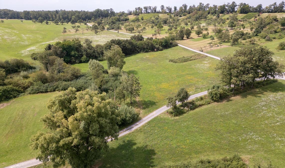 Streuobstwiesen am Hamberg und der Roßweiher: Die Kulturlandschaft in Maulbronn ist einzigartig, steht aber nur in Teilen unter Schutz. Fotos: Fotomoment