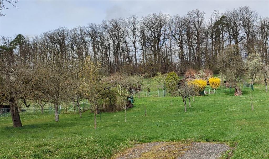 Streuobstwiesen wie hier auf Gemarkung Ötisheim prägen die heimische Naturlandschaft und stehen daher besonders im Fokus der Planer. Foto: privat
