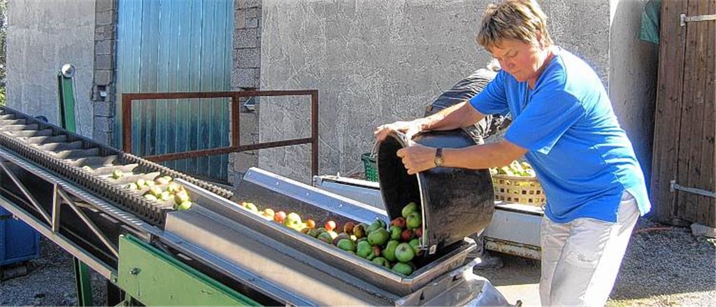 Stückles-Besitzerin Margit Knoblauch liefert dieses Mal 80 Kilo Äpfel an.