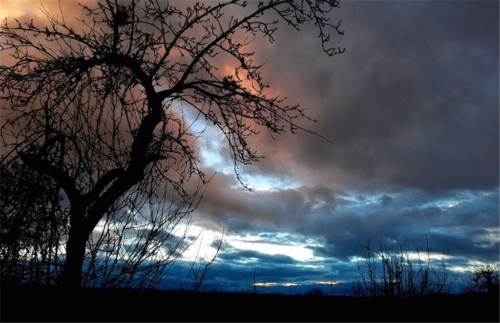 Winterbilder