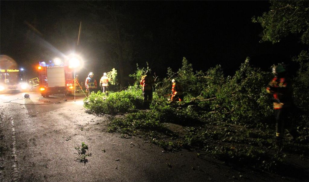 Sturmholz beschäftigt die Feuerwehr in der Nacht auf Donnerstag. Foto: Feuerwehr Wiernsheim