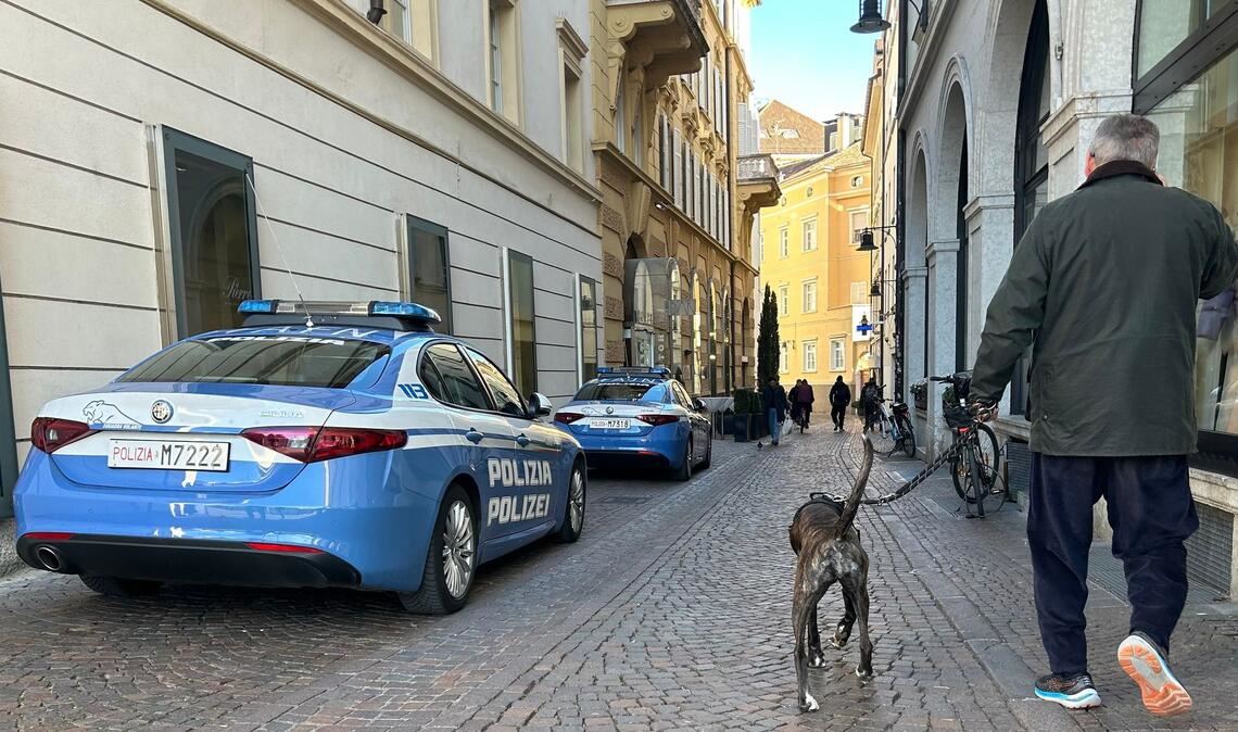 Südtirol verzichtet nun doch auf eine Art Hunde-Kurtaxe. (Archivbild)