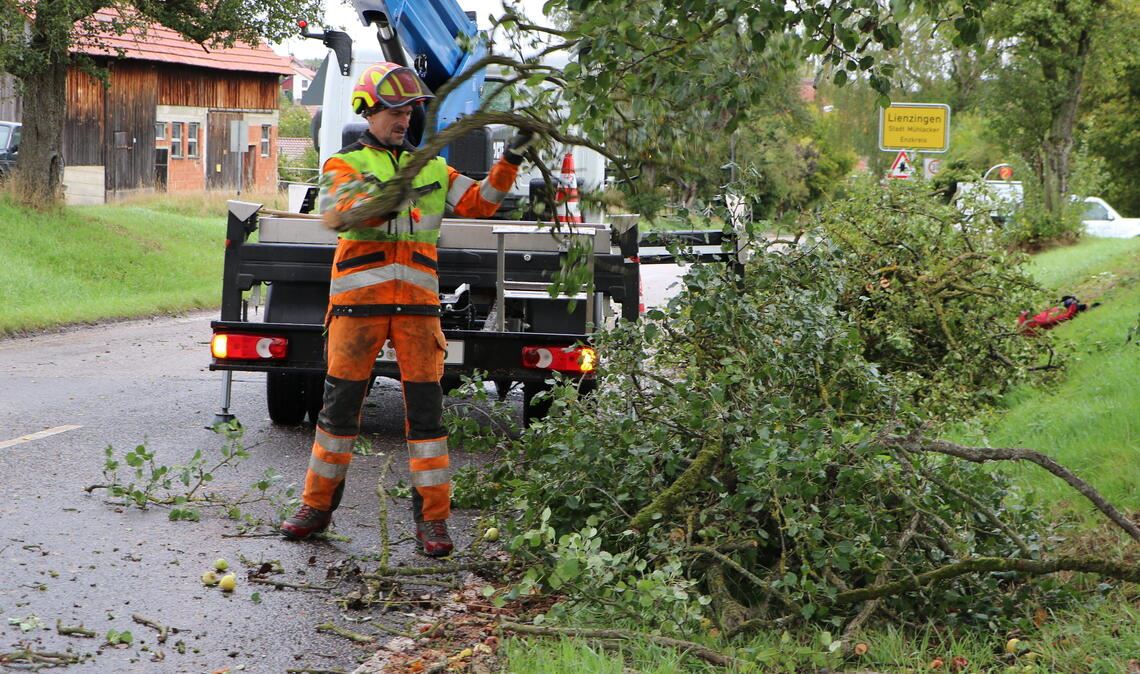 „Wir schneiden nicht einfach drauflos“ Symbolbild: Mit dem Beginn der „vegetationsarmen“ Jahreszeit beginnen wieder die Arbeitseinsätze am Straßenrand. Foto: Archiv