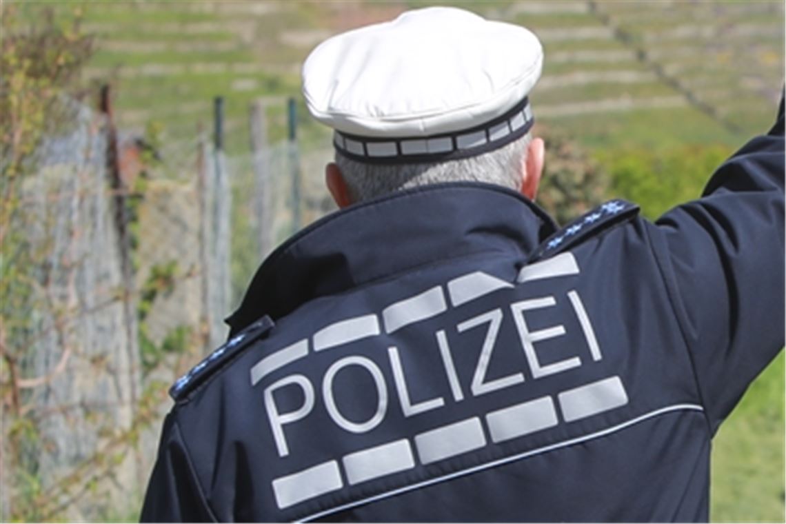 Symbolfoto: Disselhoff