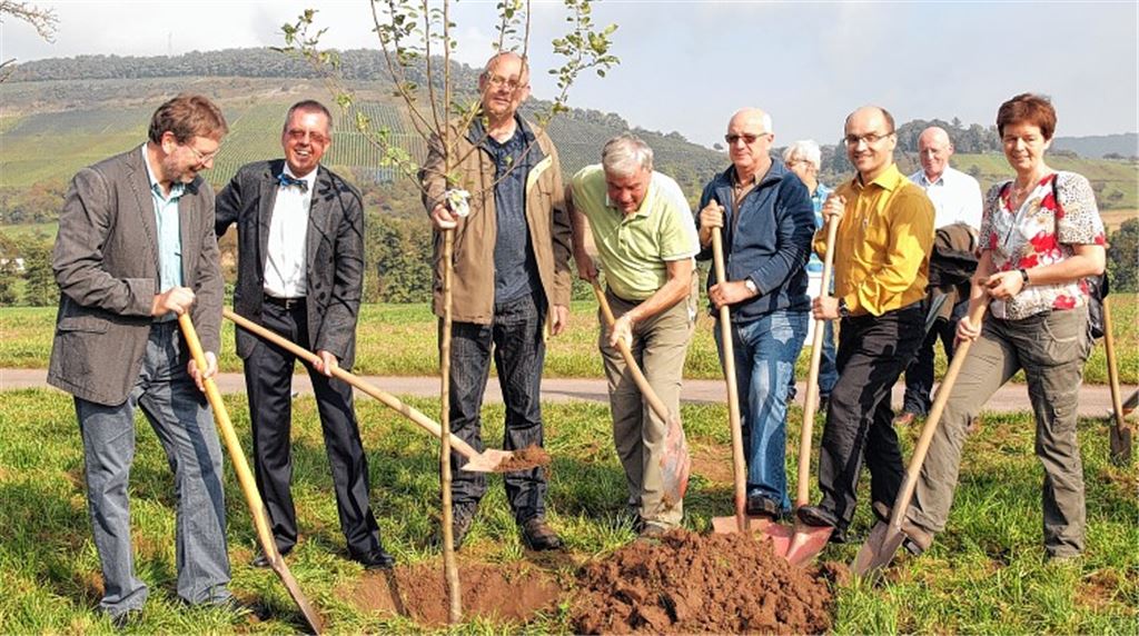 Symbolische Pflanzaktion in Schützingen: Matthias Debatin (v.li.), Wolfgang Herz, Reinhold Meißner, Hermann Gommel, Manfred Ebser, Harald Eiberger und Anne Pfisterer-Lottausch.