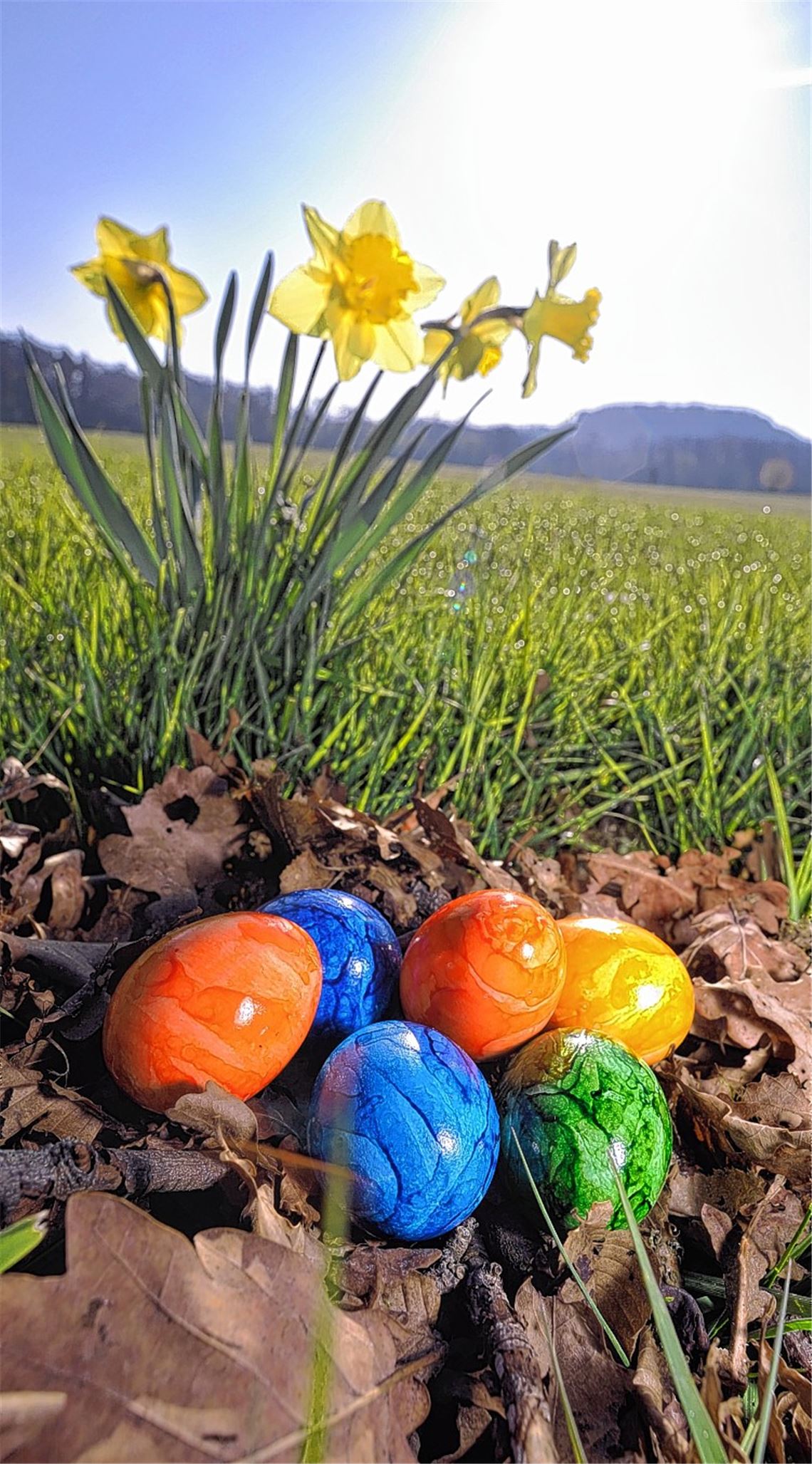 Ein neuer Morgen hat begonnen