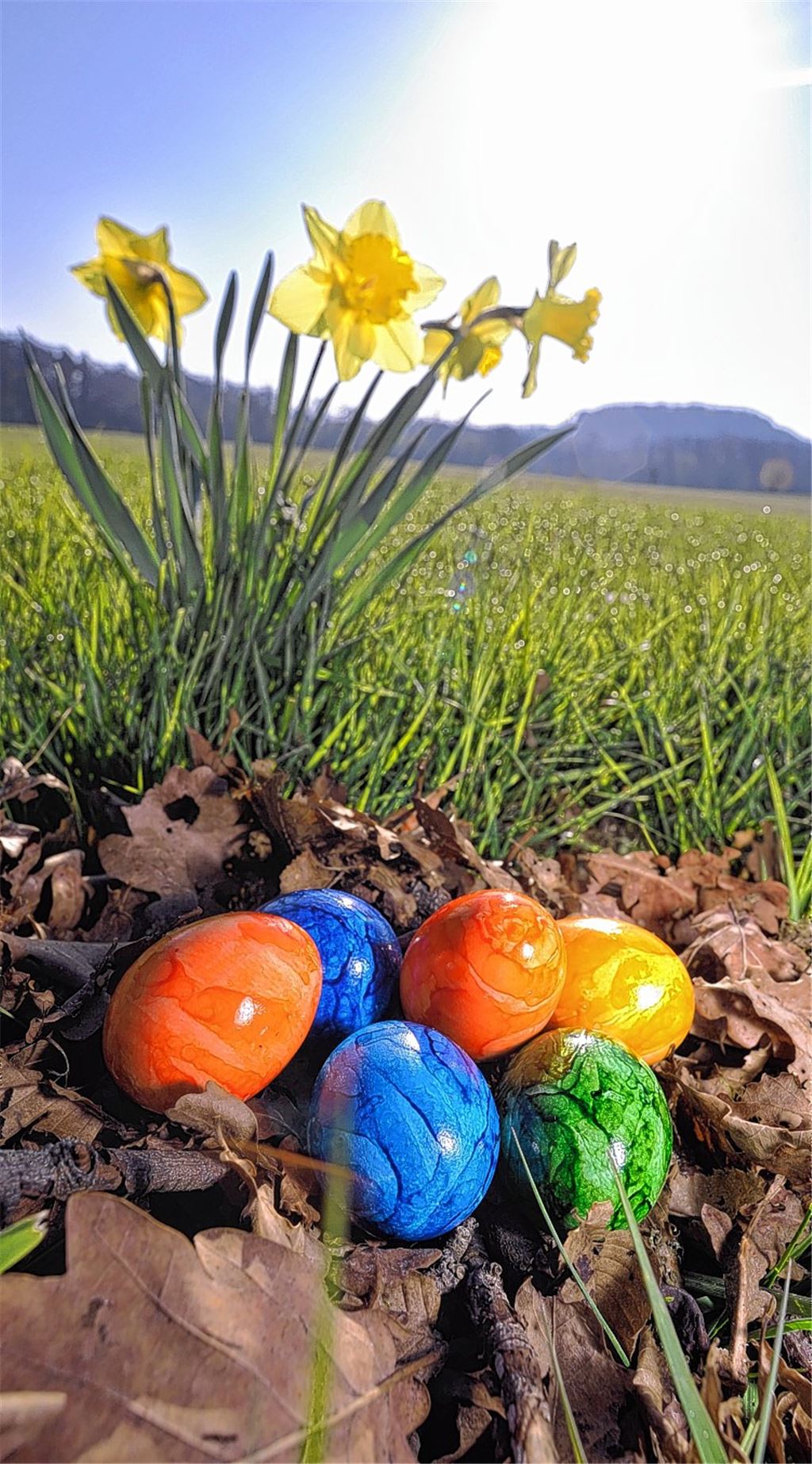 Ein neuer Morgen hat begonnen