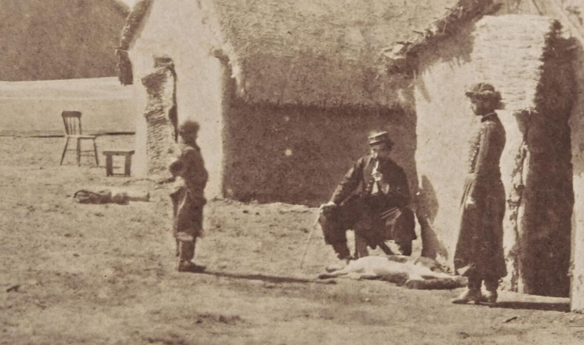 Szene aus „Bosque arriba en la montaña“, ein Dokumentarfilm über das  indigene Volk der Mapuche  im Süden Argentiniens und den patagonischen Wald. Von Sofía Bordenave, Argentinien 2026