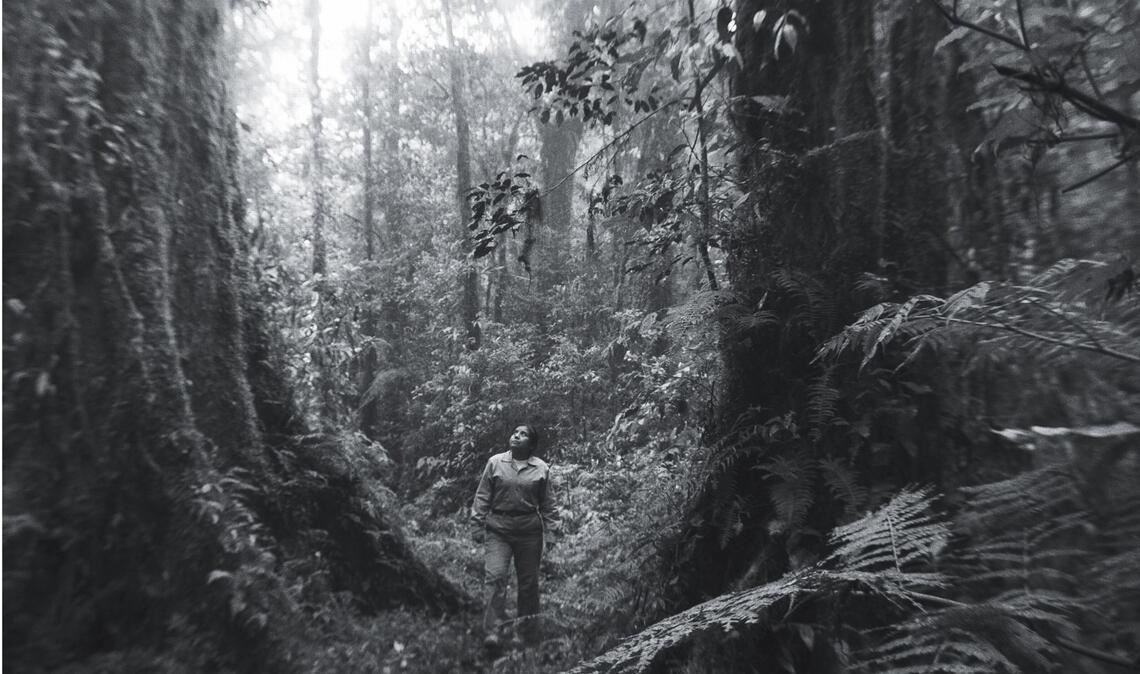 Szene aus „La reserva“, Spielfilm von Pablo Pérez Lombardini, Mexiko/Katar 2025