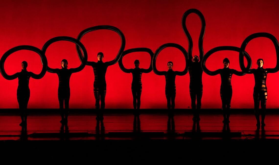 Tänzerinnen und Tänzer von MOMIX führen eine Premiere auf.
