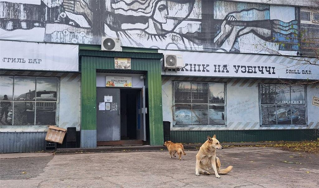 Tagelang berichteten internationale Medien über "blaue Hunde" in Tschernobyl. Im radioaktiv belasteten Sperrgebiet bezeichnet man die Berichte als Unsinn.