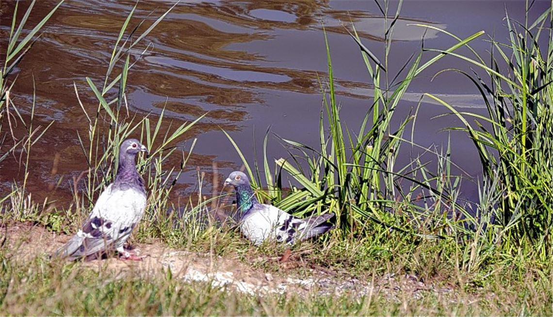 Sommerzeit Sommerzeit