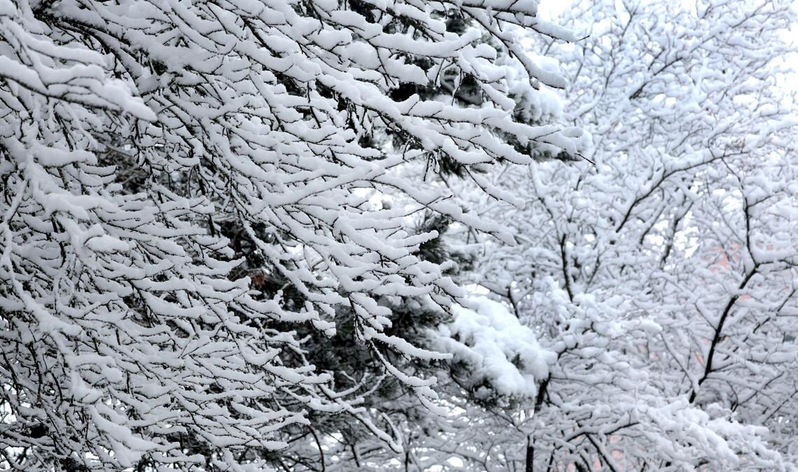 Teilen Baden-Württembergs steht ein weißes Wochenende bevor.