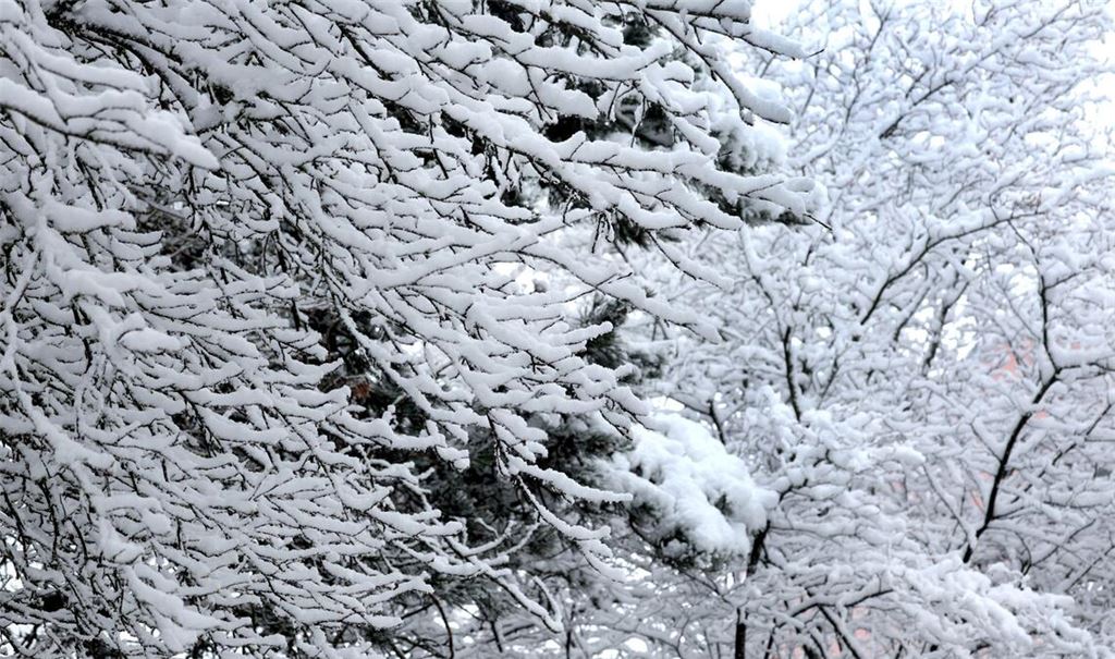 Teilen Baden-Württembergs steht ein weißes Wochenende bevor.