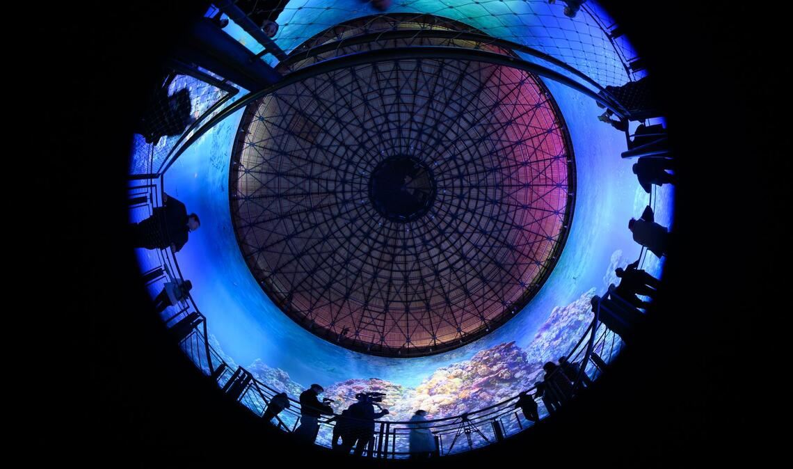 Teilnehmer des Presserundgangs betrachten das Panorama "Great Barrier Reef" von Yadegar Asisi im im Panometer Dresden, einem ehemaligen Gasometer.