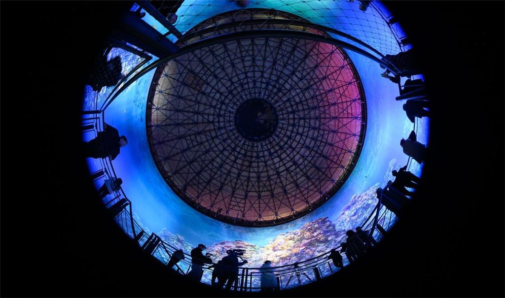 Teilnehmer des Presserundgangs betrachten das Panorama "Great Barrier Reef" von Yadegar Asisi im im Panometer Dresden, einem ehemaligen Gasometer.