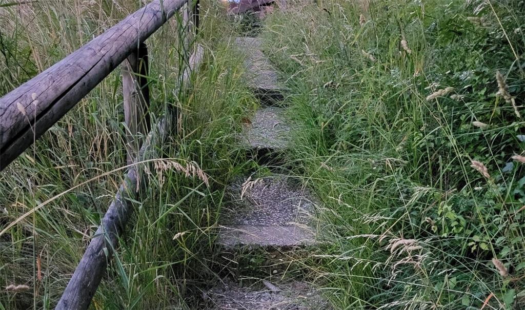 Teils zugewachsener und nur schwer passierbarer Fußweg in Lienzingen. Foto: privat