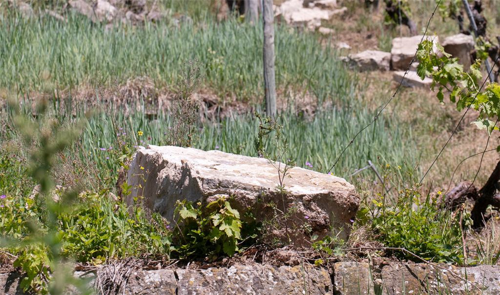 Teilweise sind mächtige Brocken im Weinberg unterhalb der Felswand an der Enzschlinge gelandet. Foto: Fotomoment