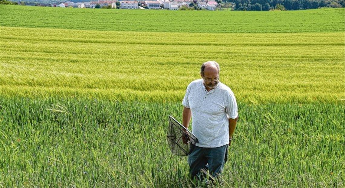 Eine Arche für bedrohte Pflanzen
