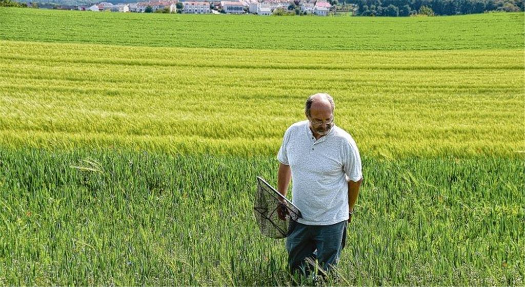 Eine Arche für bedrohte Pflanzen