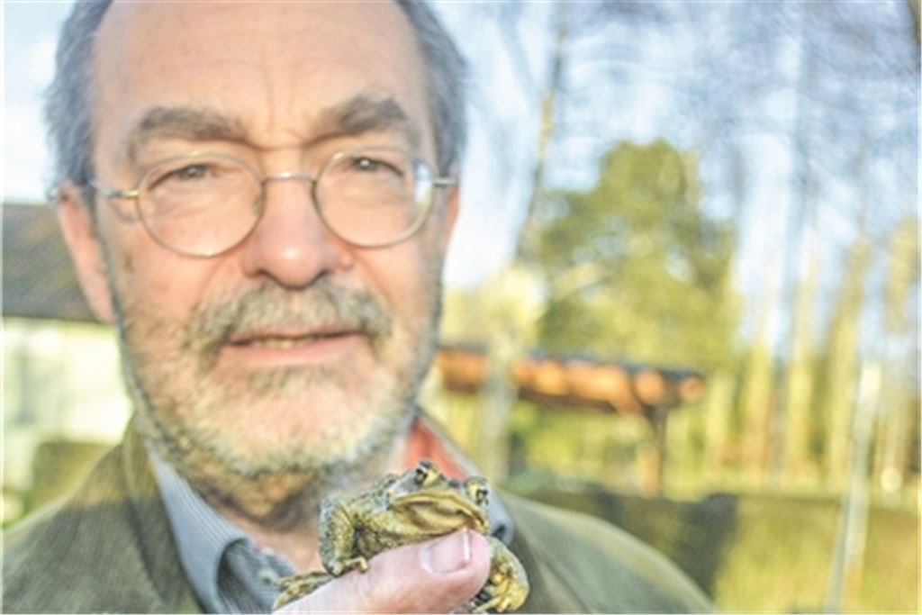 Thomas Köberle mit einer Kröte aus dem Schönenberger Tal. Archivfoto: Stahlfeld