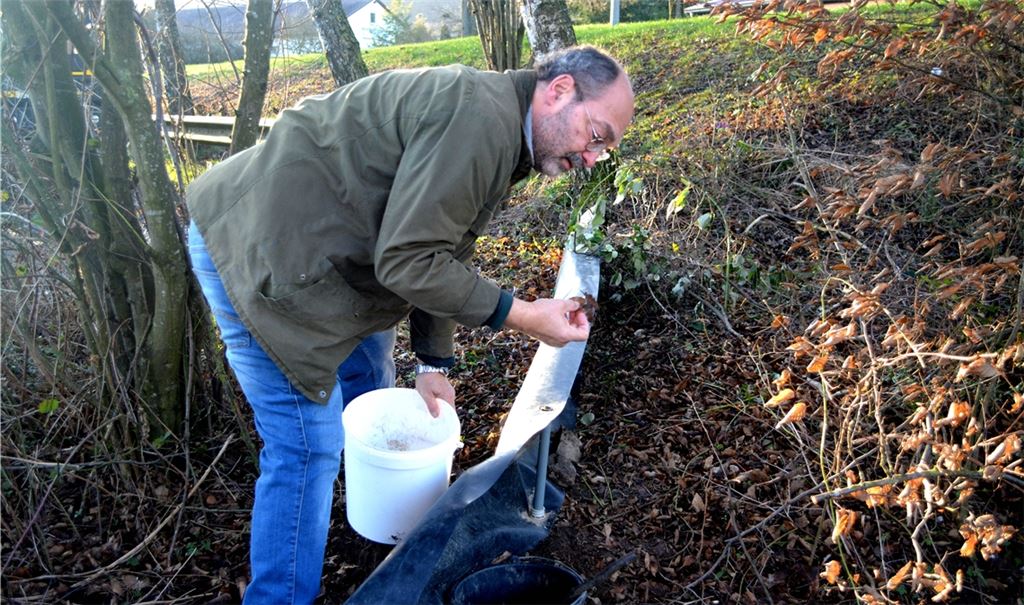 Thomas Köberle überprüft den Inhalt der Eimer am Zaun. Die Tiere, die er entdeckt, trägt er zum Wullesee. Foto: Stahlfeld