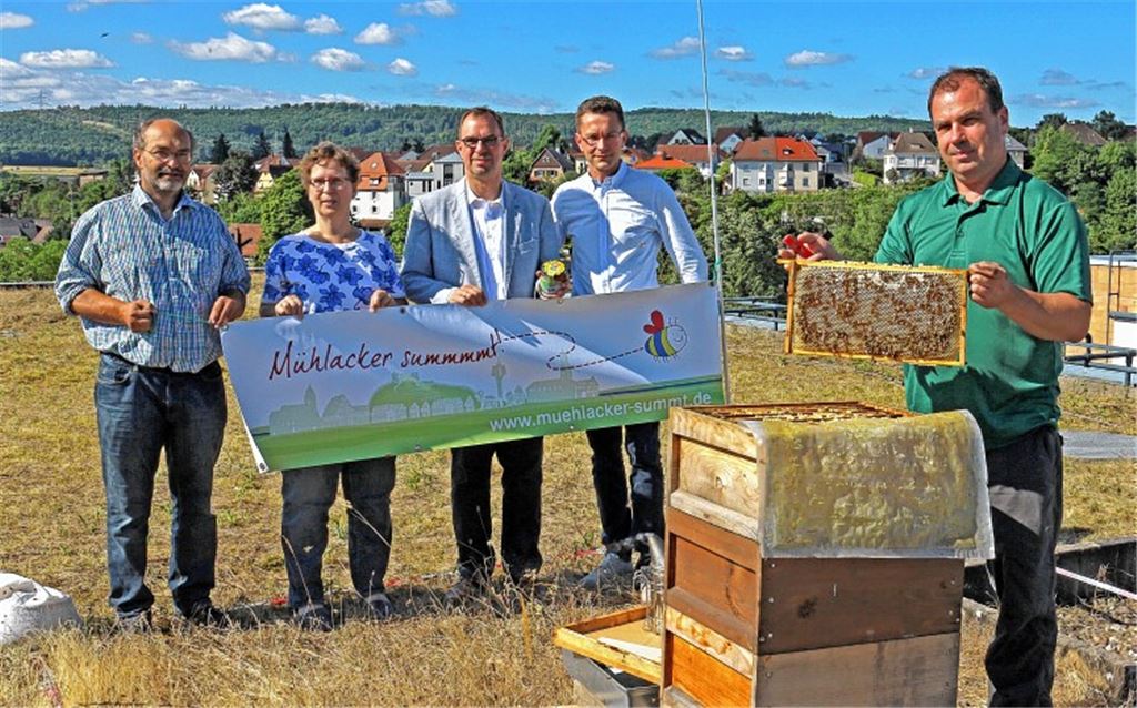 Bienen fühlen sich in der Stadt wohl