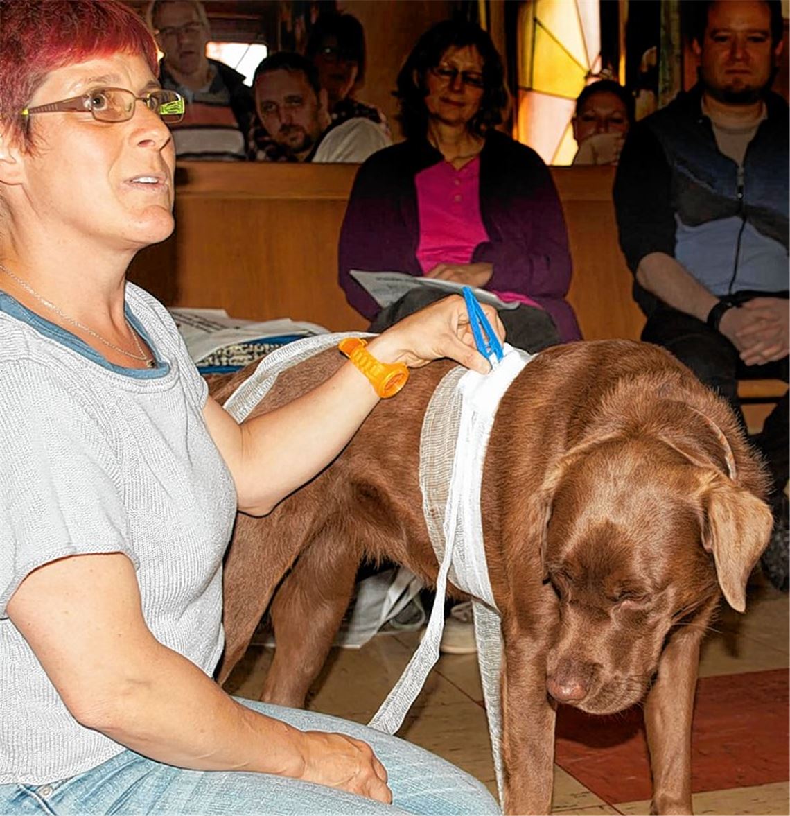 Tierärztin Karin Bührle polstert an Charlotta einen Fremdkörperverband. Foto: Wendelstein