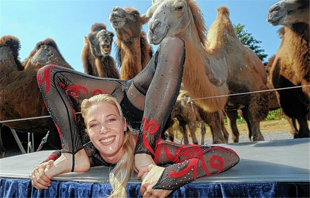 Tiere und Akrobatik