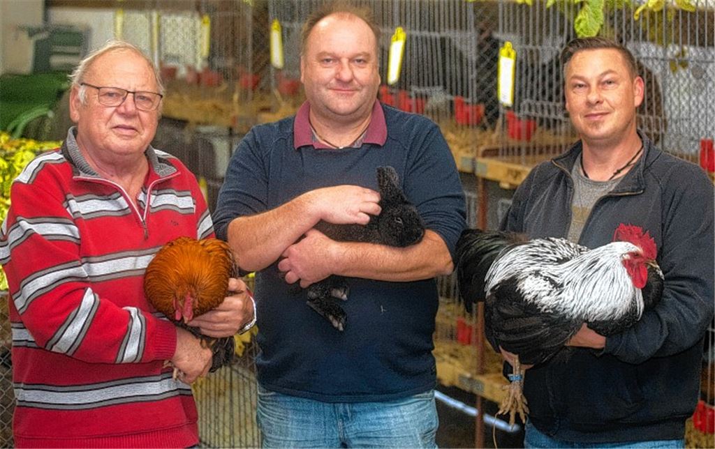 Tierisch engagiert