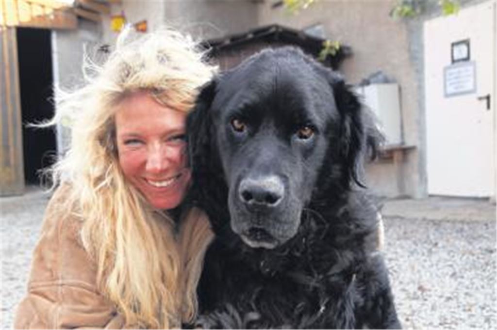 Tierisch glücklich auf dem Gnadenhof: Der riesige, verschmuste Bernhardiner-Mix Ali Baba bekommt Streicheleinheiten von Felicia Ruhland.