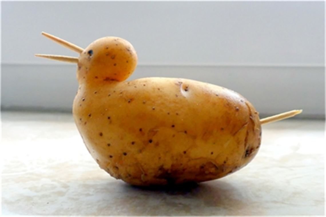 Vitamine mit Witz Tierische Kartoffel. Foto: Wolfgang Dorn