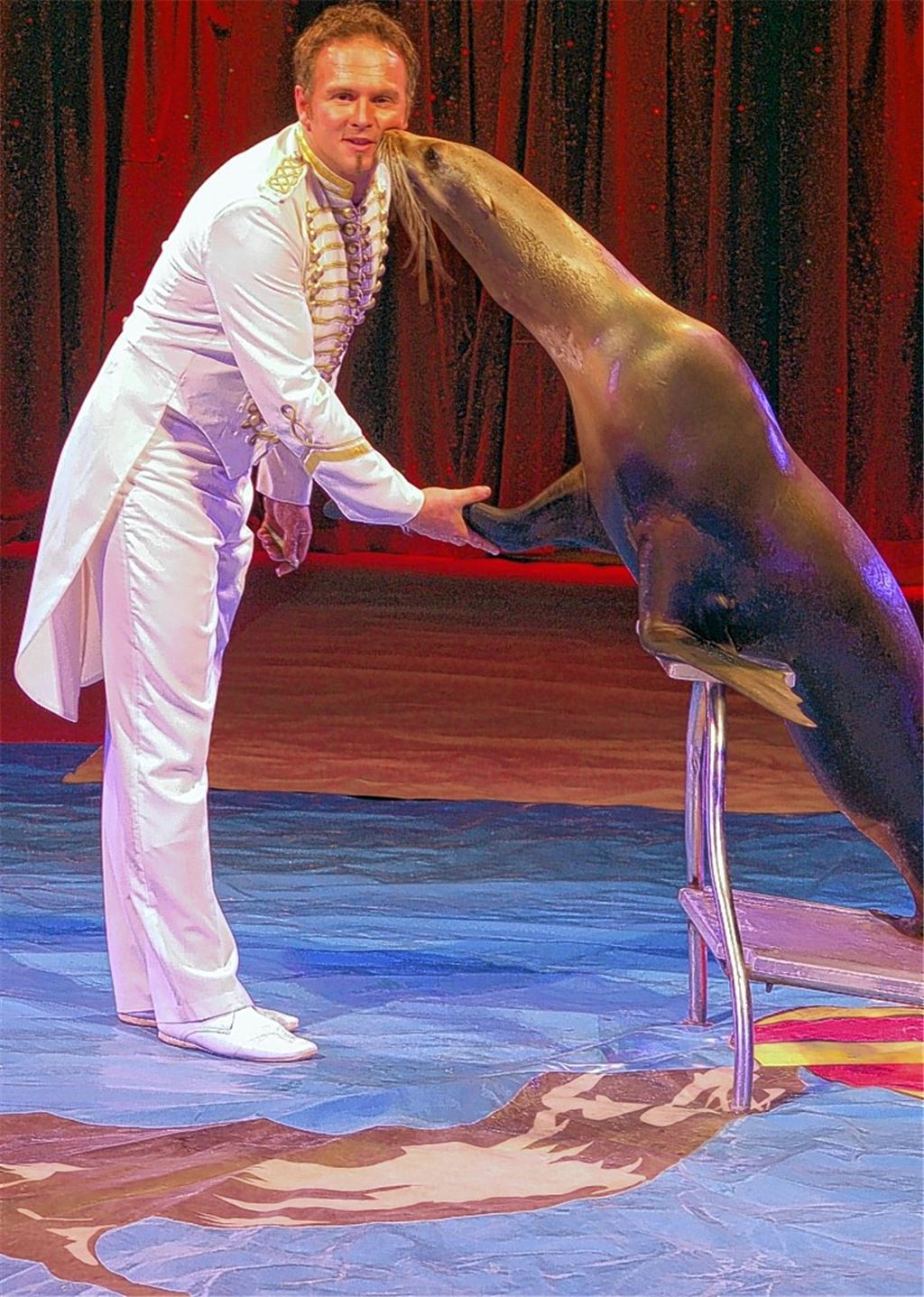 Tierischen Spaß verspricht Marek Jama beim Training mit Seelöwin Steffi. 